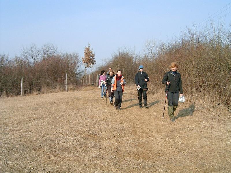 20110312 068.jpg